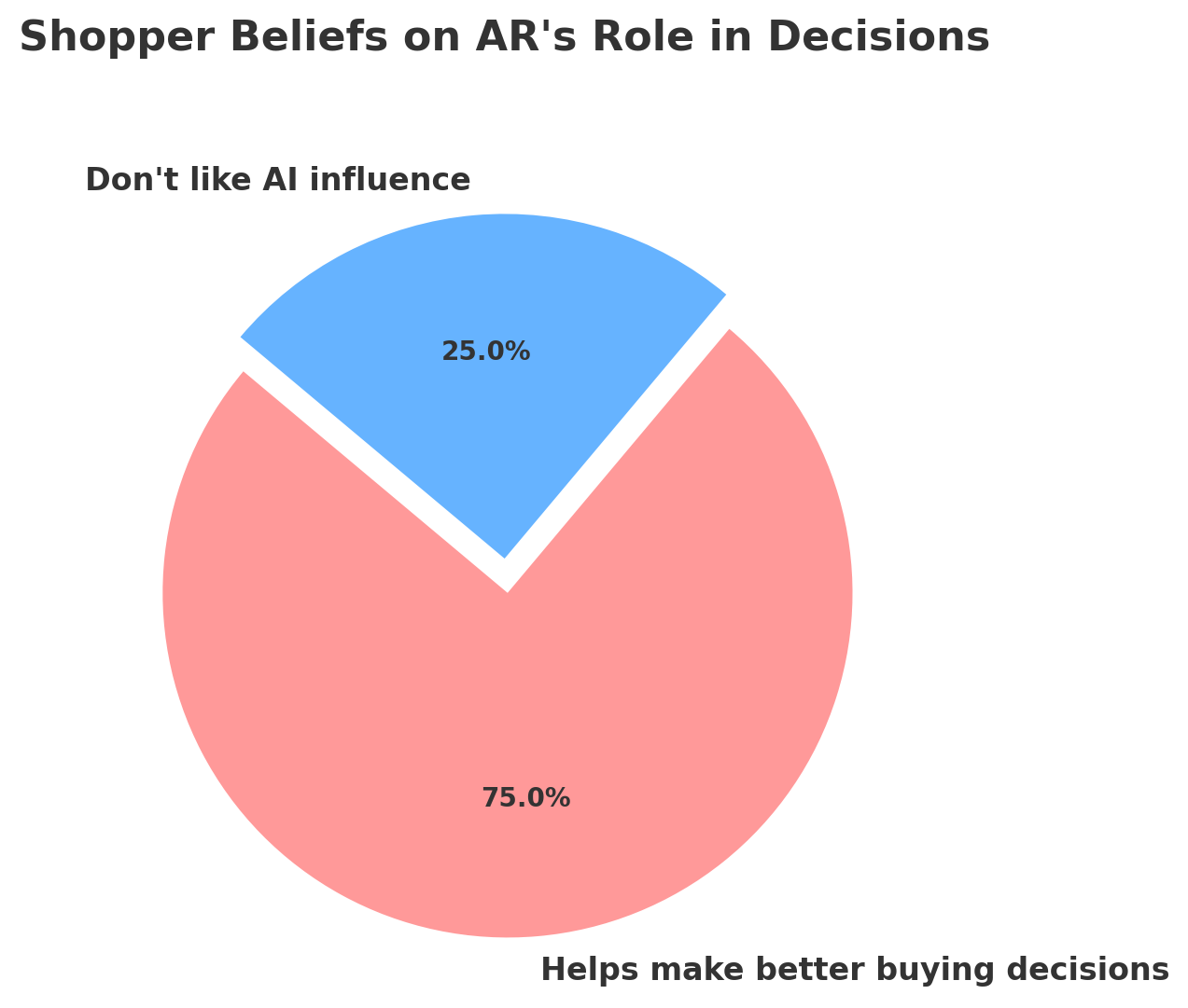 Shopper Beliefs on AR's Role in Decisions