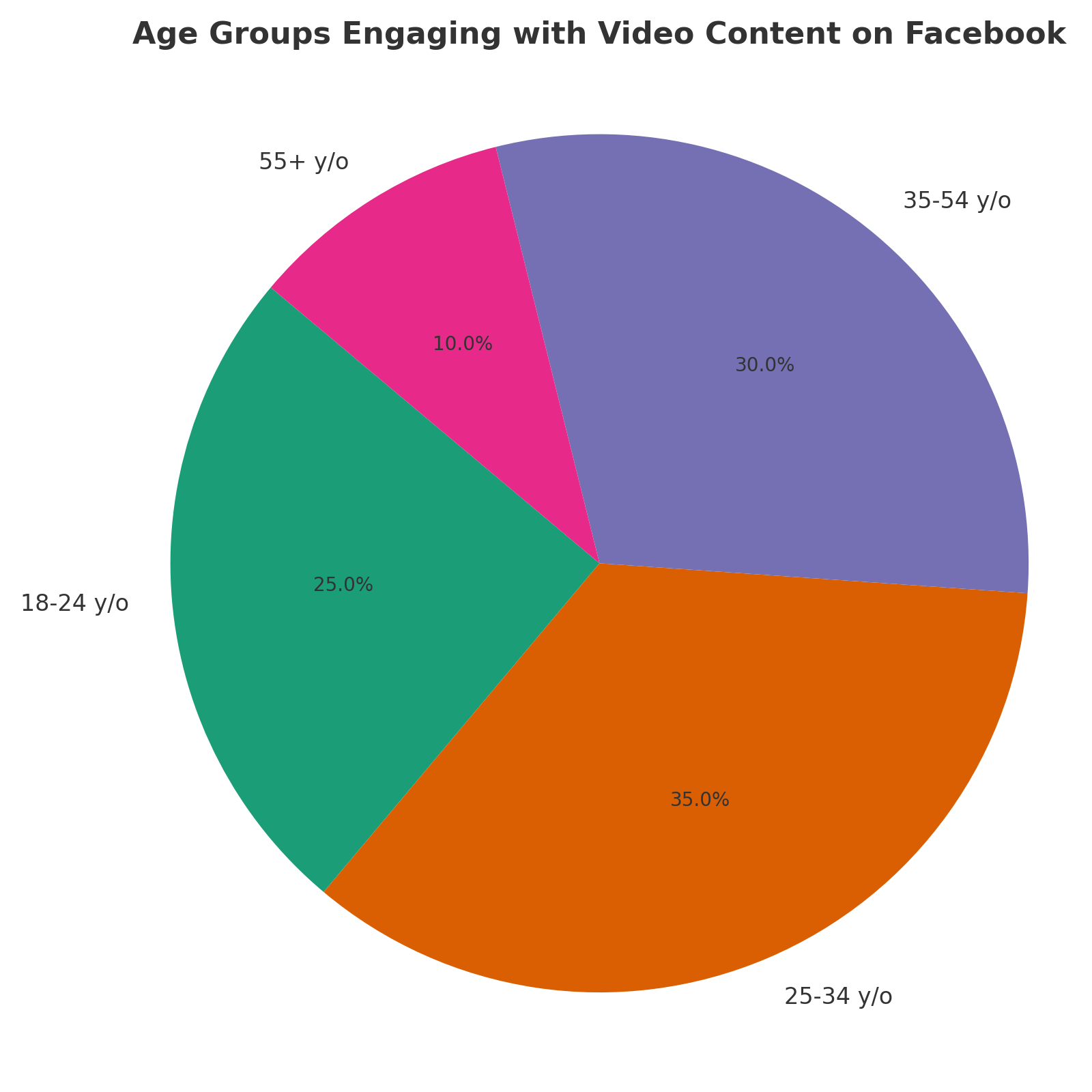 Facebook_Video_Age_Groups_Pie_Chart