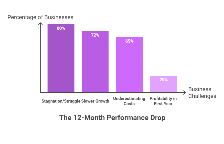 Bar chart titled “The 12-Month Performance Drop” showing 80% of e-commerce businesses experience stagnation or struggle, 72% report slower growth, 65% underestimate costs, and only 20% achieve profitability in the first year.